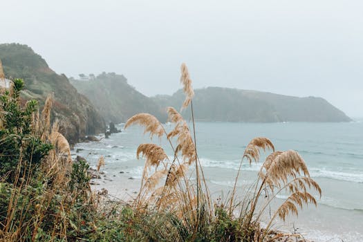 Prozkoumejte Top Výherní Automaty na Maxamega.cz s Vysokým RTP!